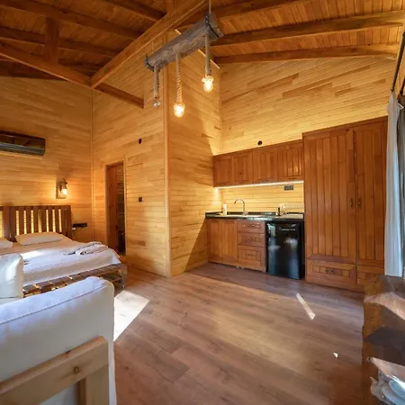 Hotel Zuemruet Boutique *